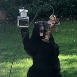 Meet your Posher, Karyn